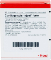 CARTILAGO suis Injeel forte Ampullen