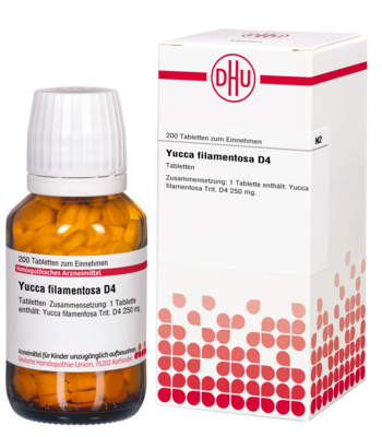 YUCCA FILAMENTOSA D 4 Tabletten