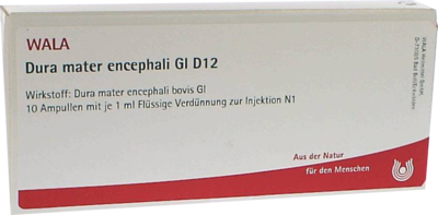 DURA MATER encephali GL D 12 Ampullen