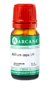 ALLIUM CEPA LM 2 Dilution