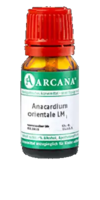 ANACARDIUM ORIENTALE LM 100 Dilution