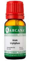 ARUM TRIPHYLLUM LM 1 Dilution