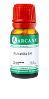 PULSATILLA LM 1 Dilution