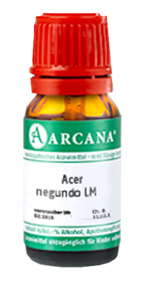 ACER negundo LM 90 Dilution