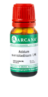 ACIDUM SARCOLACTICUM LM 13 Dilution