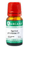 AGARICUS PHALLOIDES LM 45 Dilution