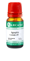 AGRAPHIS NUTANS LM 5 Dilution