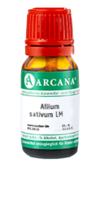 ALLIUM SATIVUM LM 2 Dilution