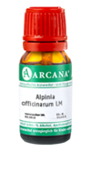 ALPINIA OFFICINARUM LM 8 Dilution