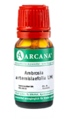 AMBROSIA ARTEMISIAEFOLIA LM 10 Dilution