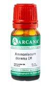 AMMONIACUM dorema LM 120 Dilution