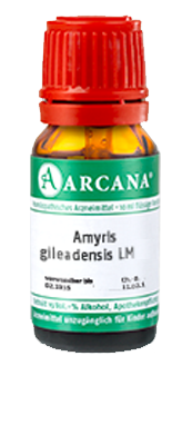 AMYRIS gileadensis LM 5 Dilution