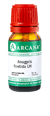 ANAGYRIS foetida LM 9 Dilution