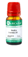 ANDIRA inermis LM 7 Dilution