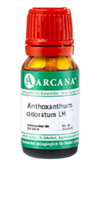 ANTHOXANTHUM odoratum LM 3 Dilution