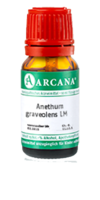 ANETHUM graveolens LM 15 Dilution